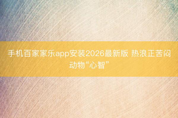 手机百家家乐app安装2026最新版 热浪正苦闷动物“心智”