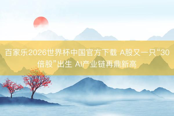 百家乐2026世界杯中国官方下载 A股又一只“30倍股”出生 AI产业链再鼎新高